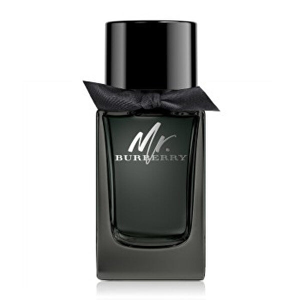Burberry Mr. Burberry – parfumovaná voda pre mužov 100 ml